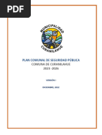 Plan Comunal de Seguridad Pública