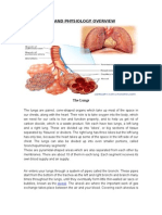 Pathophy of Cap