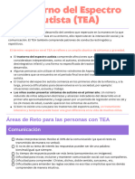 Trastorno Del Espectro Autista (TEA) : Áreas de Reto para Las Personas Con TEA