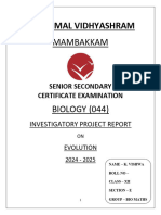 EVOLUTION by K Vishwa Project