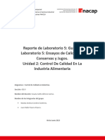 Estructura para Elaborar Reporte de Laboratorio