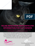 FIP Info For Cat Owners