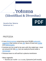 PRotozoa