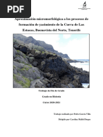 Aproximacion Micromorfologica A Los Procesos de Formacion de Yacimiento de La Cueva de Las Estacas, Buenavista Del Norte, Tenerife