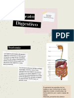 Sistema Digestivo