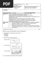 Prueba Lectura Pazuca