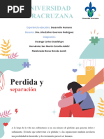 Perdida y Separación