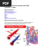 Differences Between Arteries and Veins