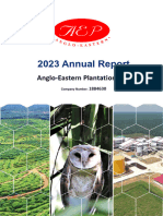 AEP PLC Annual Report 2023