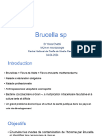 Brucella