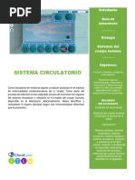 Sistema Circulatorio