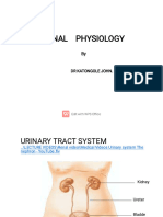 Renal Physiology