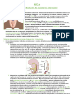 Resumen Desarrollo Embrionario Del Mesodermo Lateral