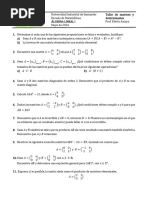 Taller - Matrices y Determinantes