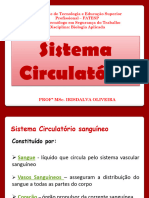 Sistema Circulatório PDF