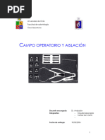 Clases Pregrado Operatoria - Informe Aislamiento Del Cpo Operatorio - MSM