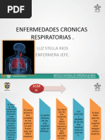 Enfermedades Respiratorias Cronicas