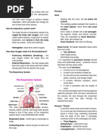 Respiratory System