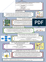 Infografìa Sobre Los Fundamentos Del Pensamiento Lógico Matemático en Educación Infantil