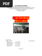 Actividad Pecuaria