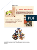 Qué Es La Alimentación