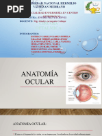 Cirugia Oftalmica Expo