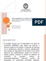 Desarrollo Organizacional Ppt01 - Magister AD