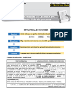 LE11 - Comprensión de Lectura IV - Síntesis, Guía de Procesos