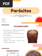 Parásitos 20231112 154305 0000