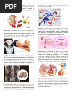 Hormona Del Crecimiento