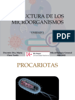 TEORÍA Estructura de Los Microorganismos