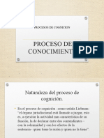 Proceso de Conocimiento