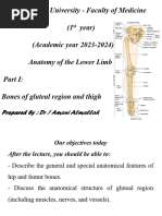 Hip Bone, Femur and Upper End of Tibia