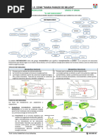 6 Metabolismo