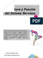 Estructura y Funcion Del Sistema Nervioso