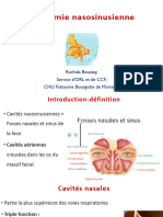 6-Anatomie Nasosinusienne