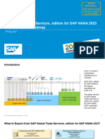 VEM 31 999 PE 2023 Overview and Roadmap - 20230516