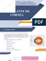 4 Trasplante de Cornea Mid Juan