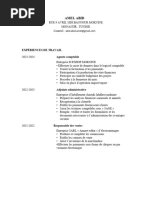 CV en Français