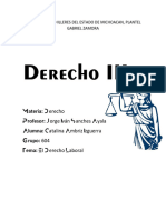 Del Derecho Laboral - Catalina A I