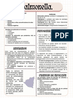 Resumen de Bacteria Salmonella by VIlma Zeledon.