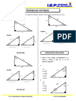 Geometria - 2do Año - Guia Nº6 - Triangulos Notables