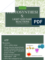 General Biology Light and Dark Reaction of Photosynthesis