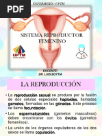 Aparato Reproductor FEMENINO-1