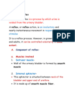 Physiology Notes Micturation Reflex 20 Mark