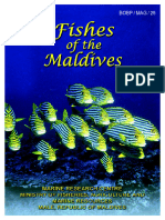 Fishes of The Maldives