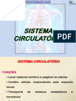 Aula Sistema Circulatório