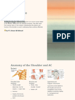 Introduction To Shoulder Impingement