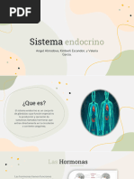 Sistema Endocrino1