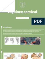 Esguince Cervical